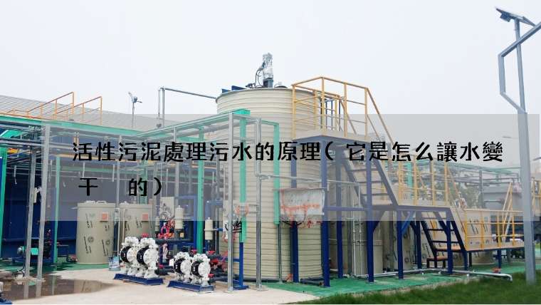 活性污泥處理污水的原理(它是怎么讓水變干凈的)